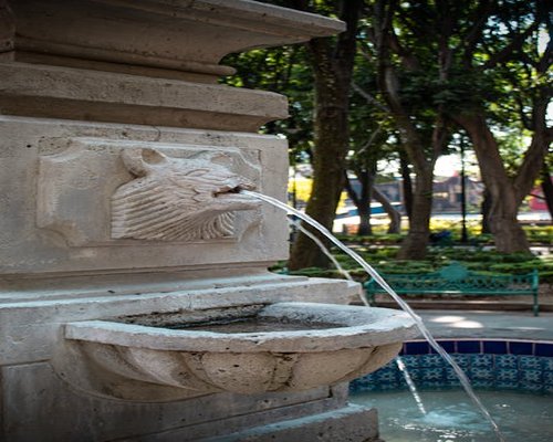 Hombre caminando por un parque en la ciudad de México