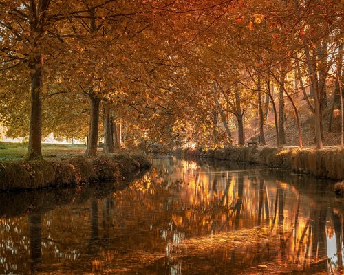 Oficina del proyecto en la Ciudad de México